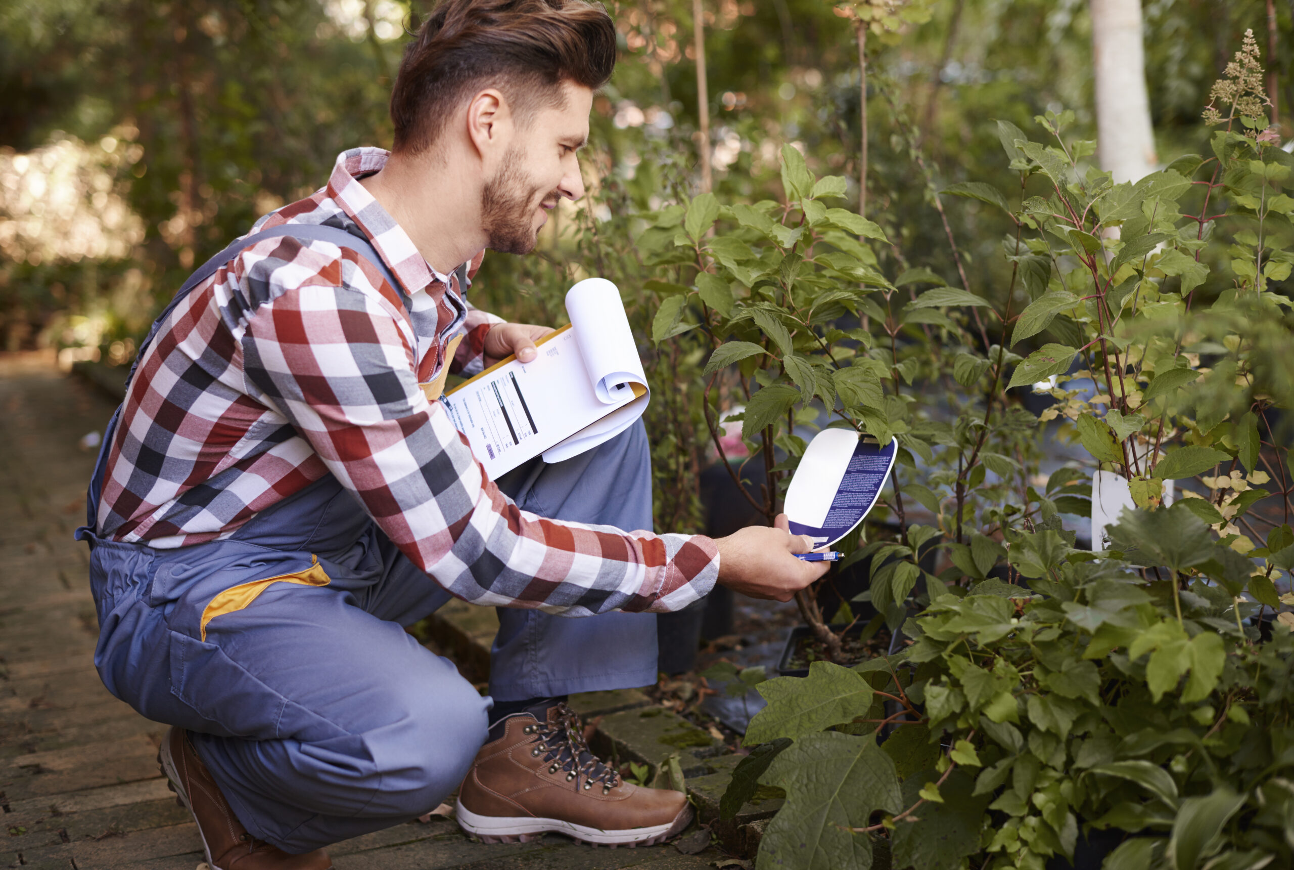 The Power of Google My Business for Small Business Owners